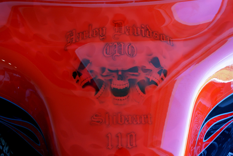  HARLEY DAVIDSON 2010 Flhtcuseリアルフレイムス