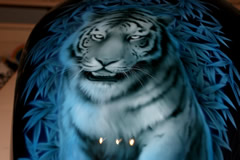 kawasaki zephyr�@�Ձ@�G�A�[�u���V