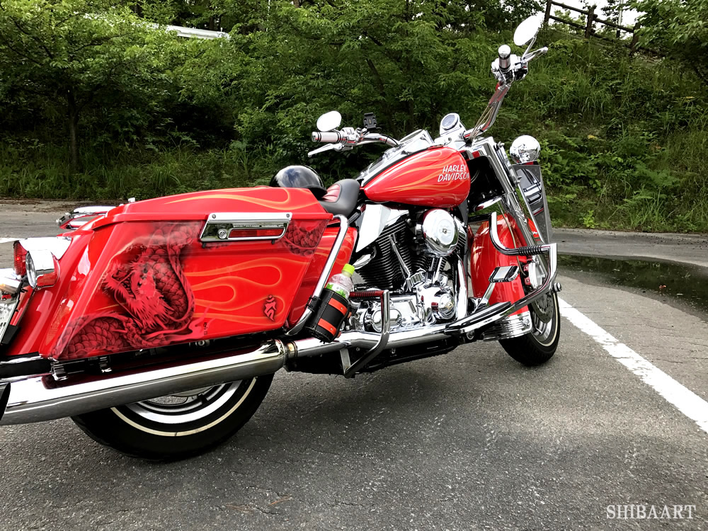 龍図　モノトーンレッド　　　　