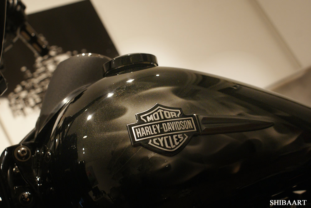  HARLEY DAVIDSON リアルフレイムス　
